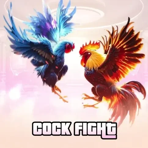 88CLUB Cockfight